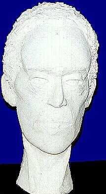 Plaster Head - 13K